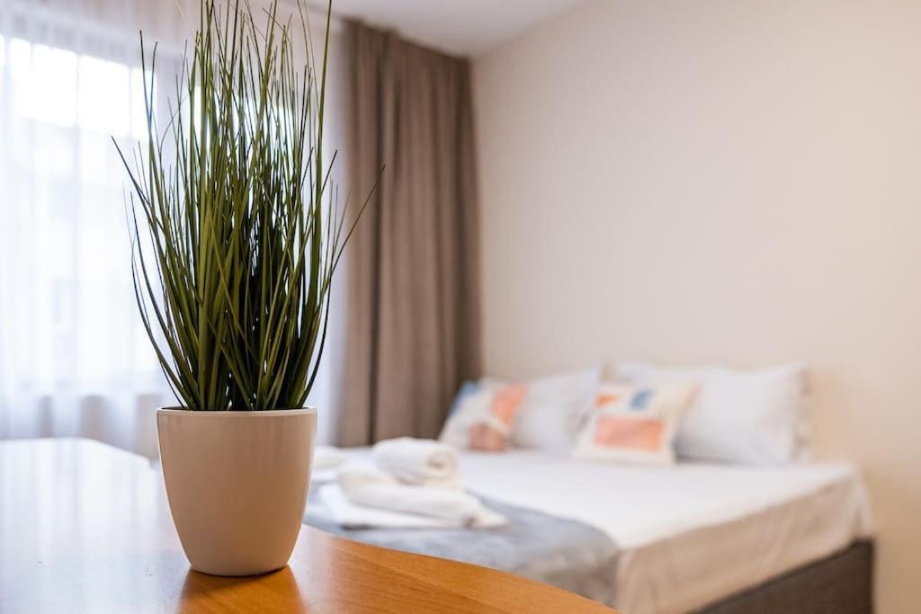 Varna Central 2Bdrm Apartment Экстерьер фото